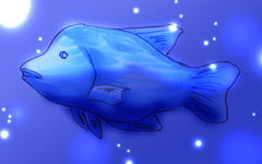 �i�|���I���t�B�b�V��